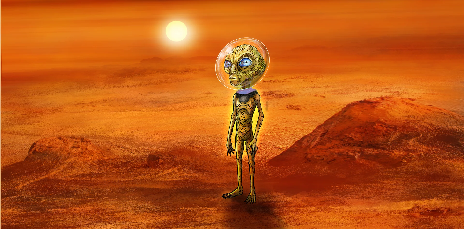 planeter, solsystemet, verdensrommet, sola, månen, stjerner, jorda, Merkur, Venus, Mars, Jupiter, Saturn, Uranus, Neptun, astronaut, romfart, romskip, rakett, satellitt, romstasjon, Melkeveien, meteor, asteroide, komet, tyngdekraft, bane, dag og natt, romforskning, astronomi, fakta, lettlest, faktabok, barn