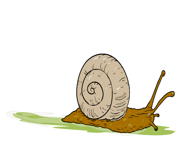 insekt, snegle, natur
