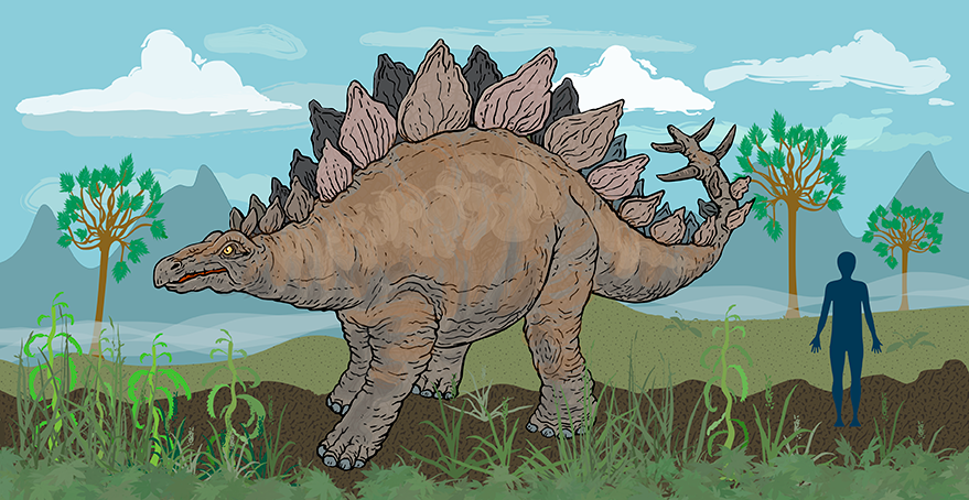 dinosaur, barnebok, billedbok, illustrasjon, roman, barn, lese, tegne, fantasi