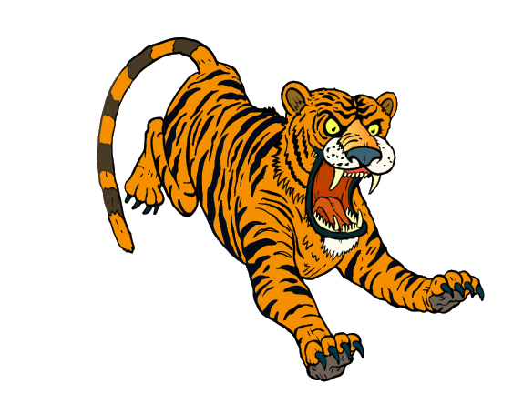 tiger, natur
